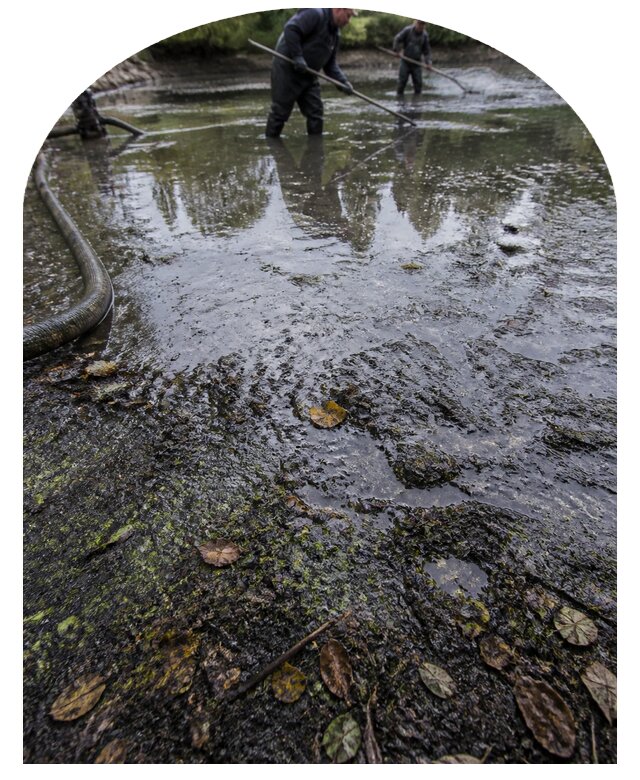 Очистка пруда в Малгобеке от ила мусора и водорослей с вывозом